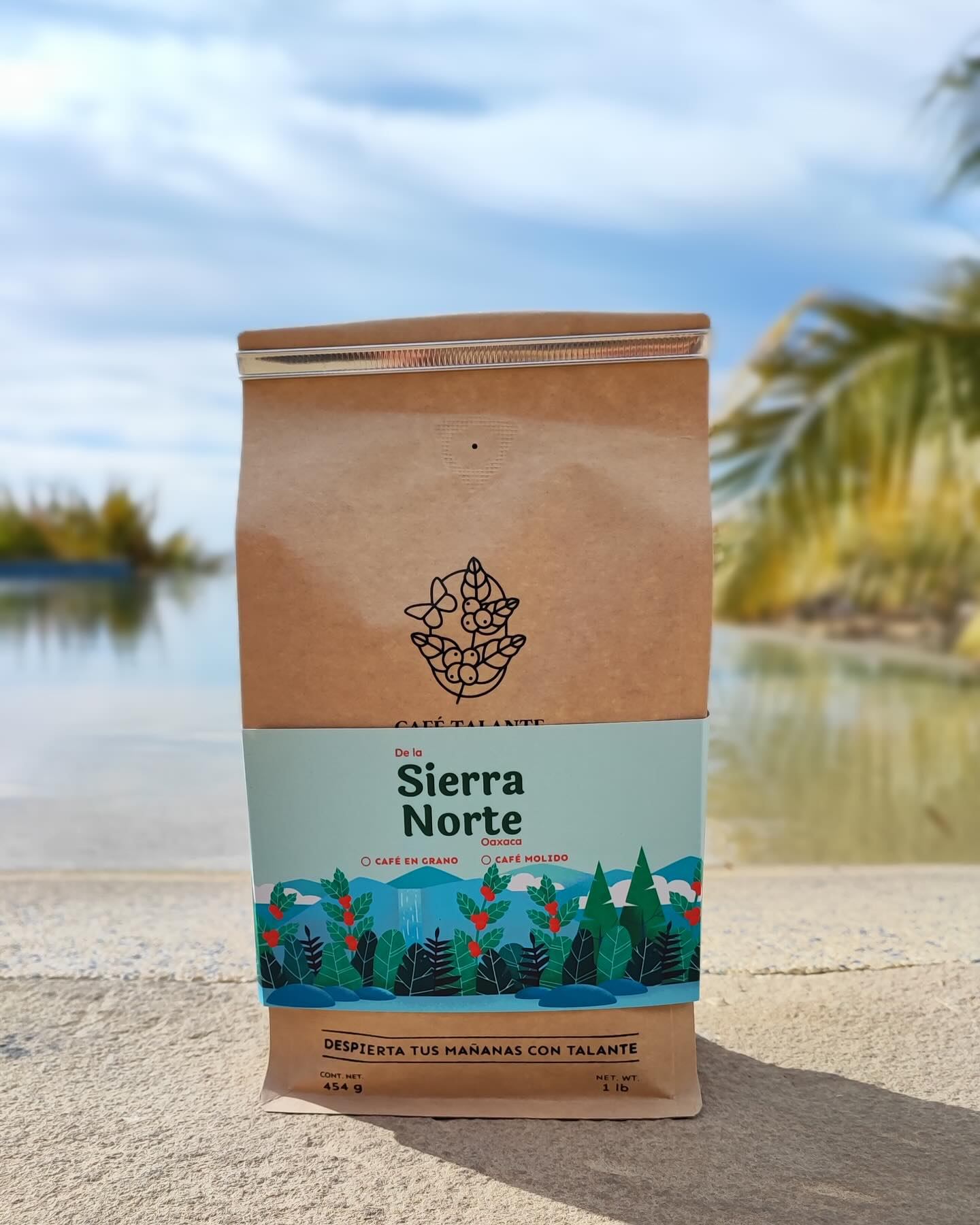 Café Talánte Sierra Norte Juárez